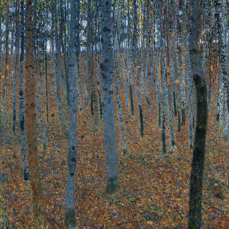 Gustav Klimt reprodukcija Beržų miškas