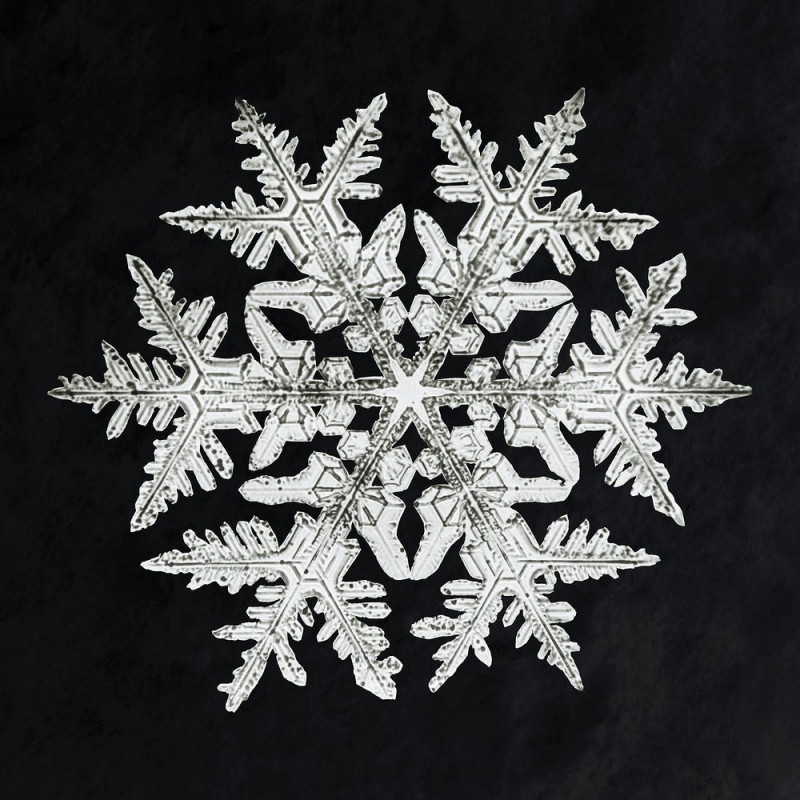 „Snowflake”