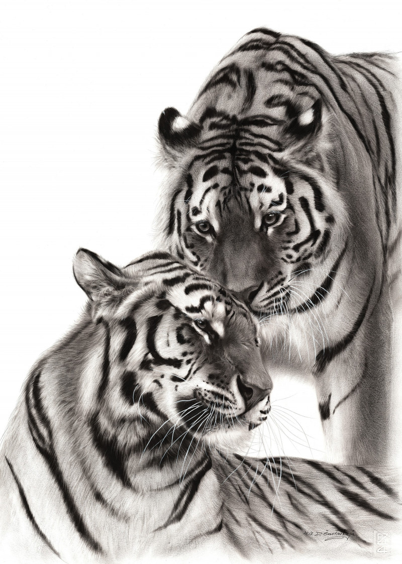 Danguolė Šerstinskaja reprodukcija Tigers