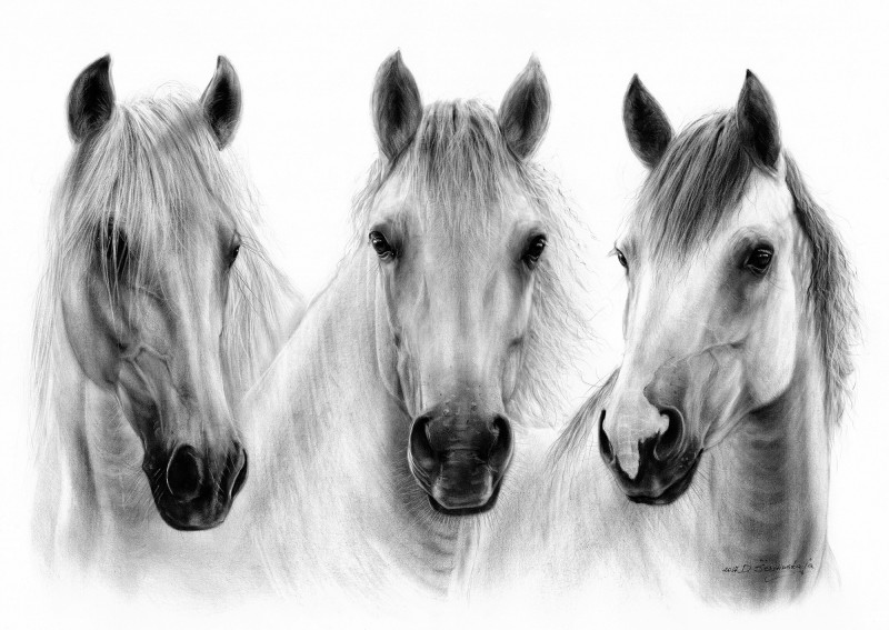 Danguolė Šerstinskaja reprodukcija Three Beautiful Horses