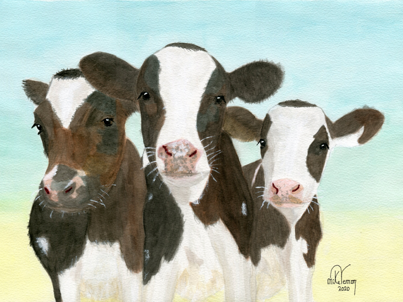 Mike Vernon reprodukcija Friesian Cows Triplets