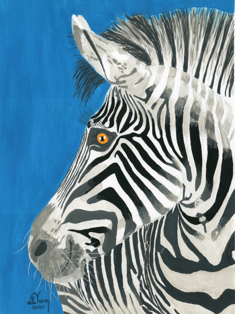 Mike Vernon reprodukcija Zebra Blue