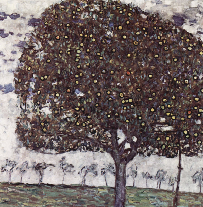 Gustav Klimt reprodukcija Der Apfelbaum