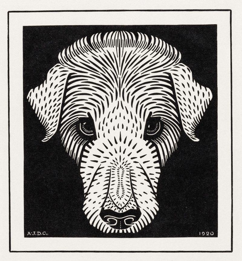 Julie de Graag reprodukcija Dog's head (1920)