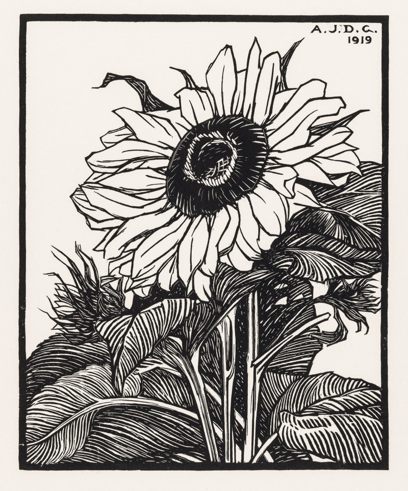 Sunflower (1919)