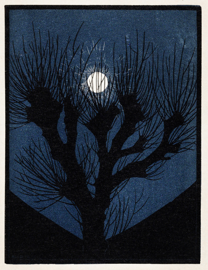Moon Light (1920)