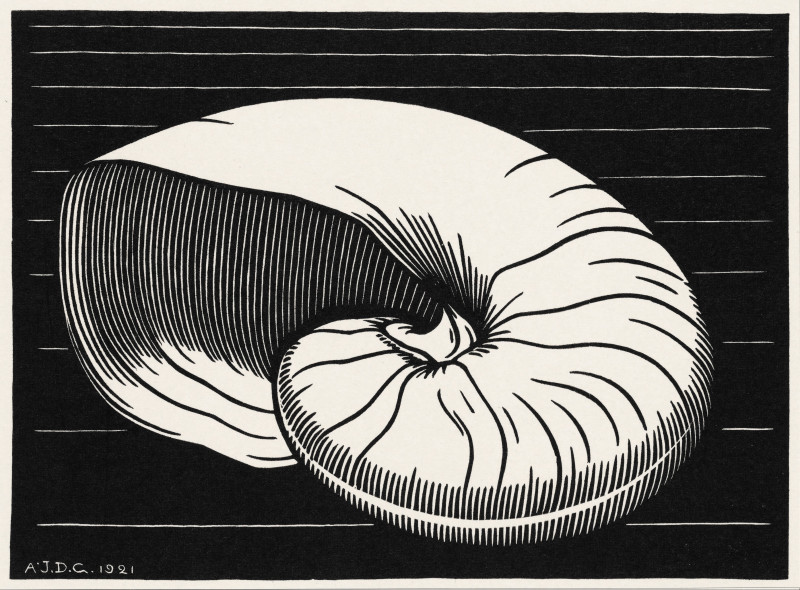 Julie de Graag reprodukcija Shell (1921)