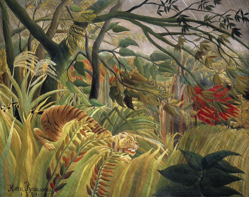 Henri Rousseau reprodukcija Tiger in a Tropical Storm