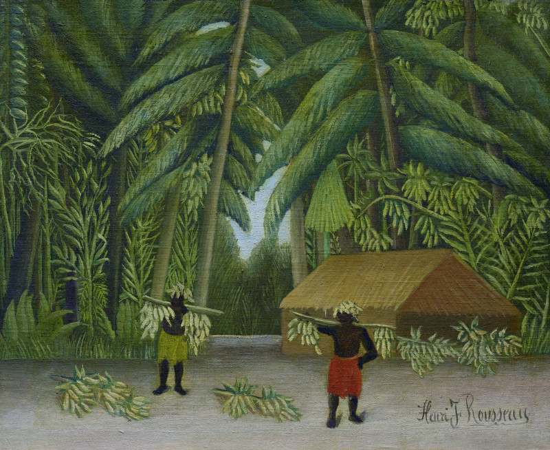 Henri Rousseau reprodukcija Banana Harvest