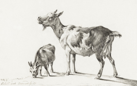 Goats (1775-1883)