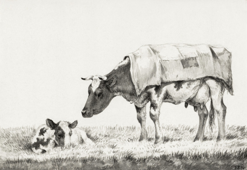 Standing Cow With Lying Calf (1816) giclee print by Jean Bernard
