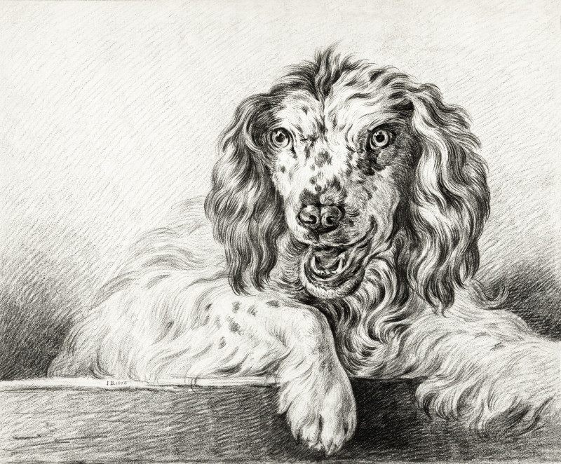 Jean Bernard reprodukcija Dog (1802)