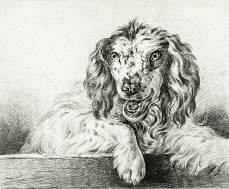 Dog (1802)
